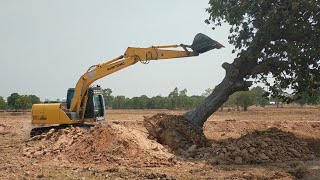 เจ้าโม130 ล้มต้นไม้แบบโหดๆๆ SUMITOMO แต่งสวย Excavator