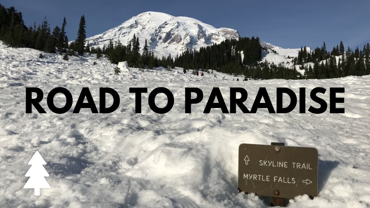 Road to Paradise Mt. Rainier National Park YouTube