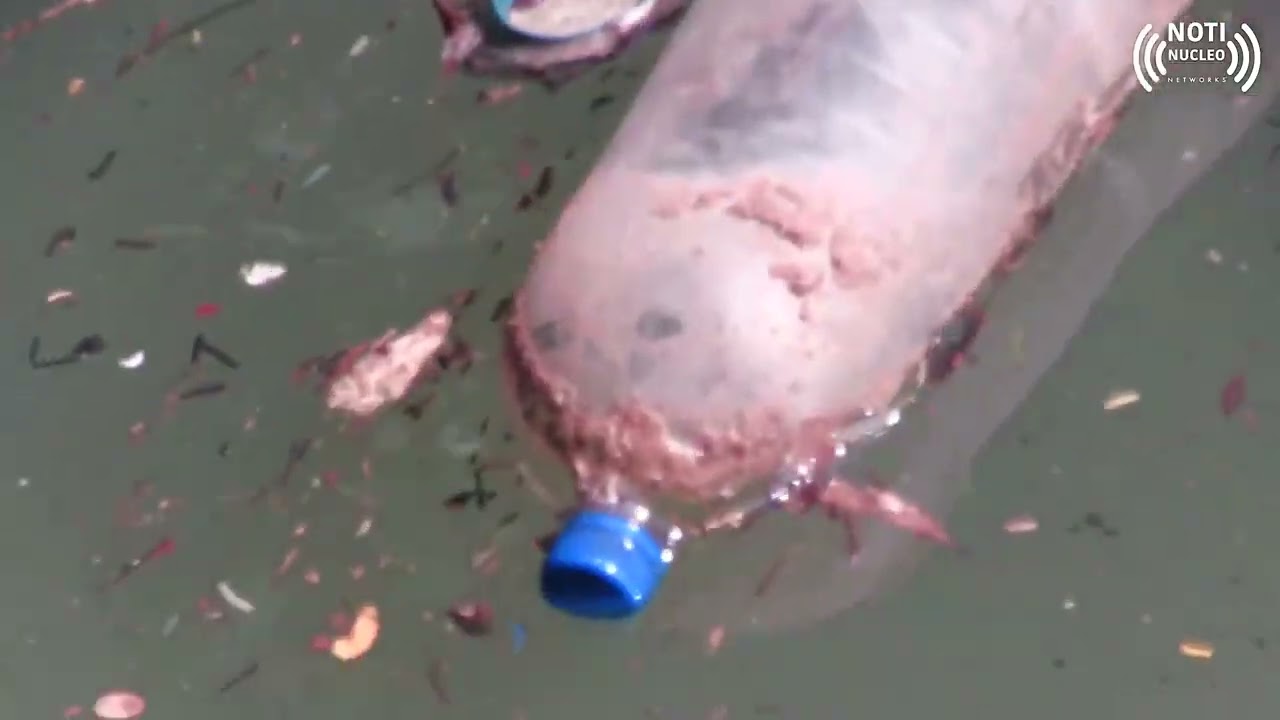 Nos estamos acabando el Cañón del Sumidero