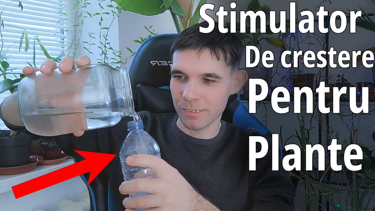 Experiment: Testez un stimulator de cretere pentru plantele de interior