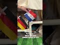 These World Cup Kittens Have Made Their Pick ⚽🐱