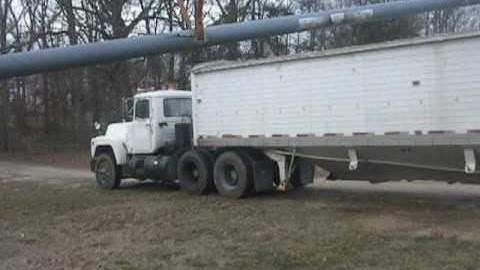 Loading Soybeans on hopperbottom