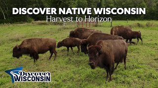 NATOW - An Agritourism Adventure