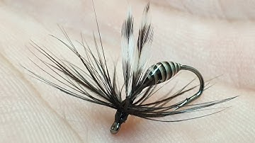 Fly tying a black ant.(wet fly)