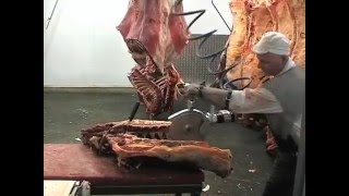 Kentmaster - Multi Purpose Bone Saw, Pneumatic - 77