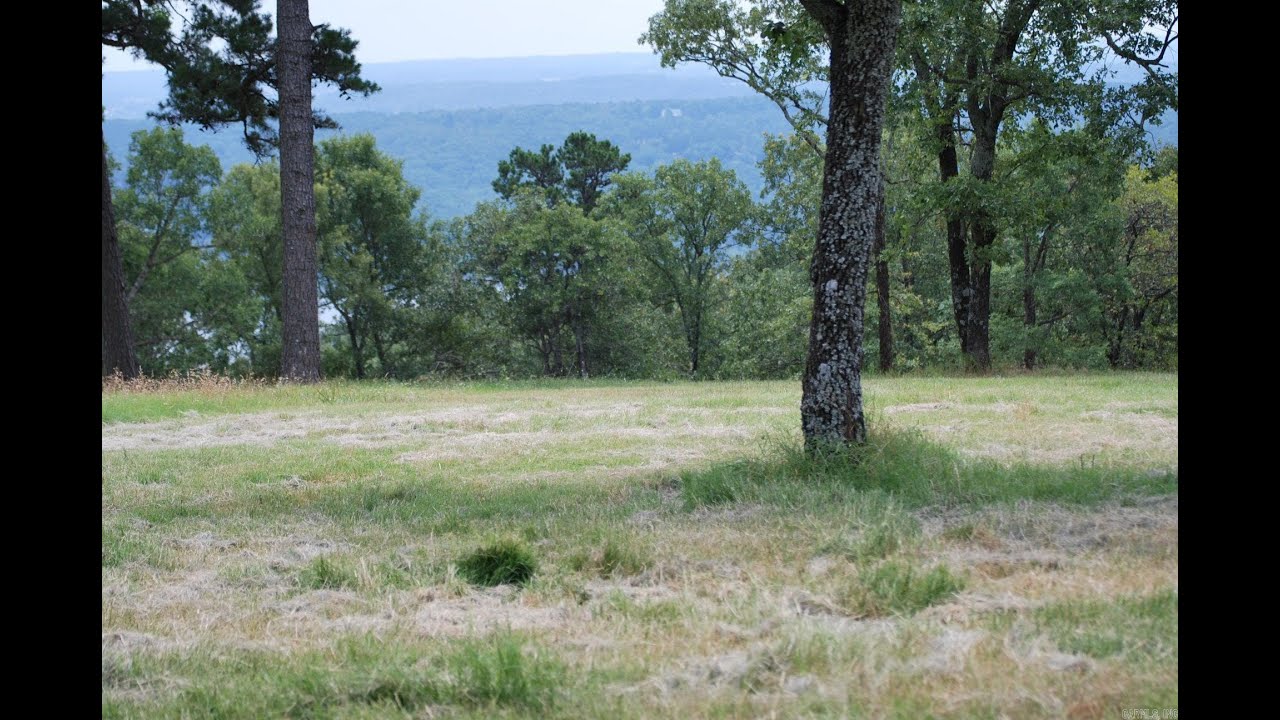 NEW LISTING: 000 Honeysuckle Lane Quitman AR 72131