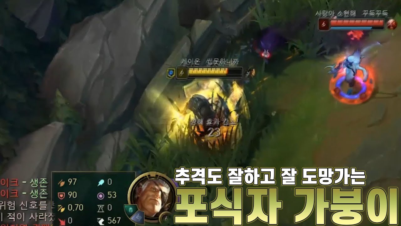 추격도 잘하고 잘 도망가는 포식자 가붕이.