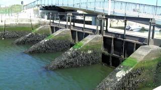 A trip to Aveiro.mp4