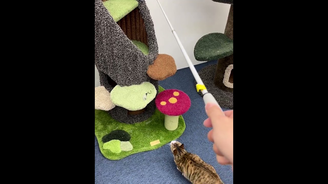 Master Hunter Retractable Cat Teaser Toy🐾 