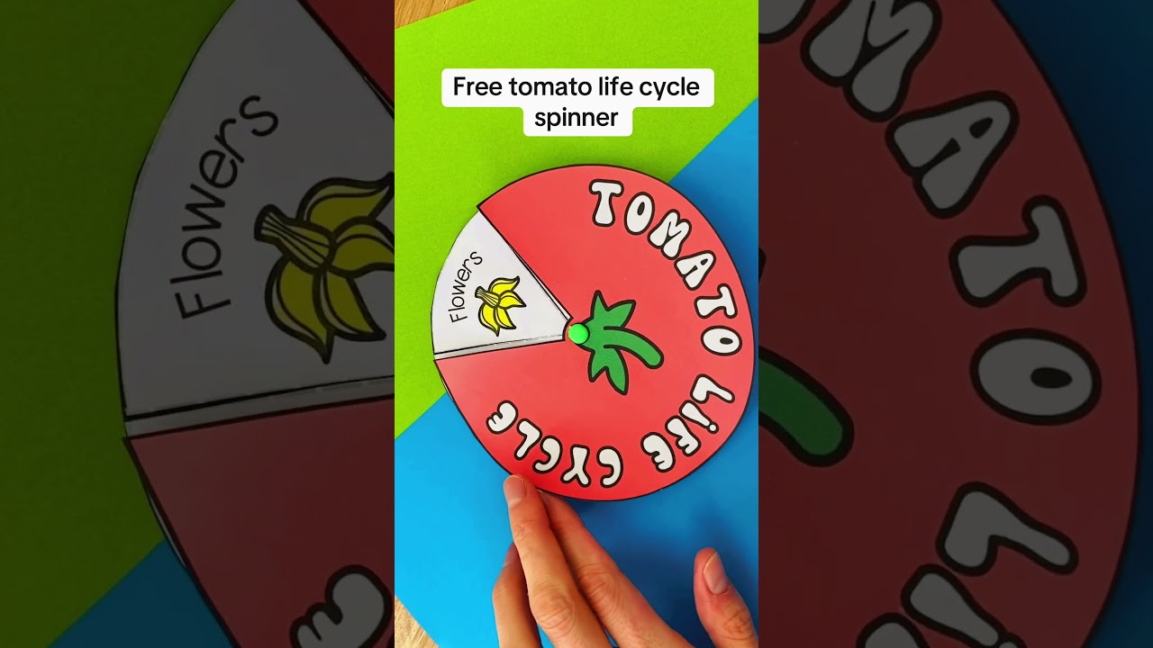 Free Tomato plant life cycle template 