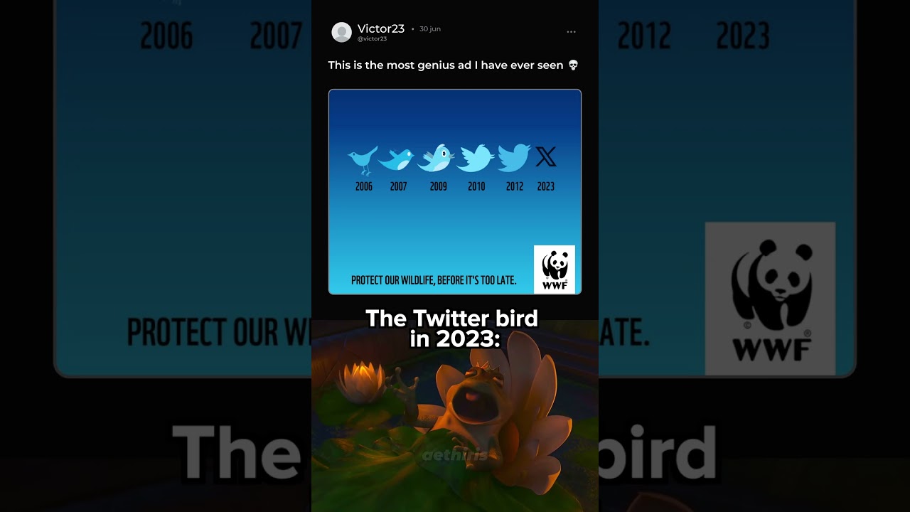 The Twitter bird dying meme 