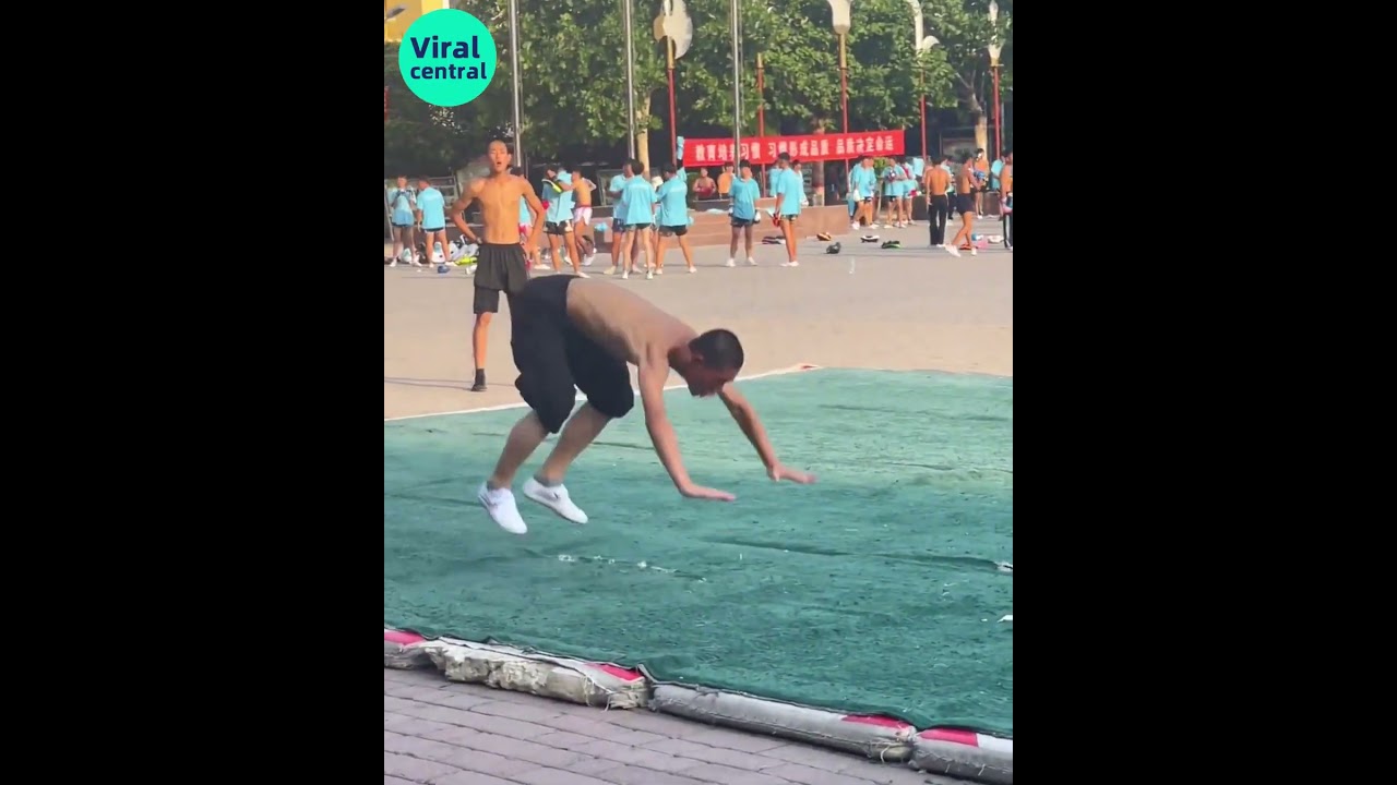 Shaolin Martial Arts - Toad Stance and Ditang Fist