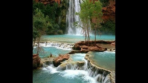 تلاوة خاشعة من اواخر سورة النمل