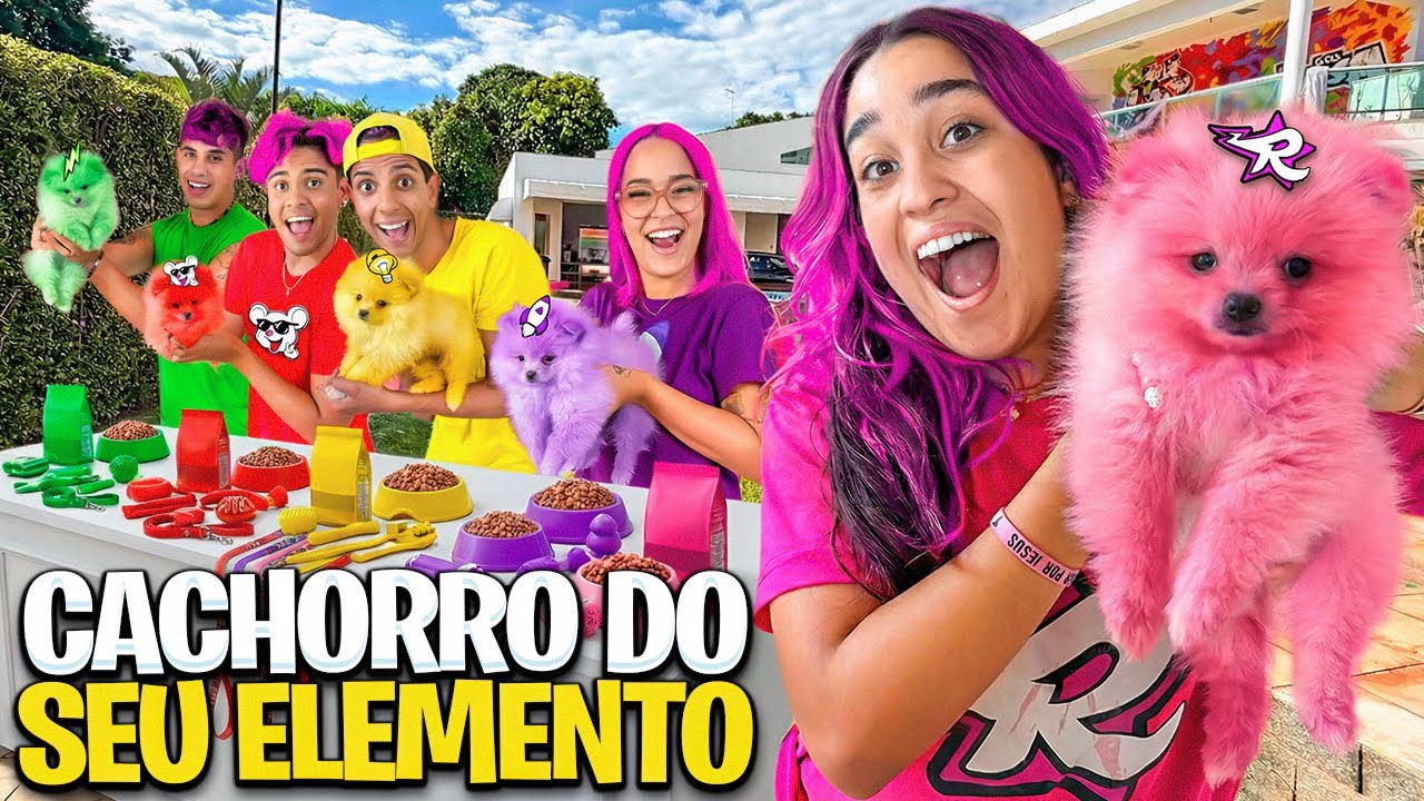 QUEM FIZER O MELHOR PET DOS ELEMENTOS, VENCE ! *Pintamos elas ?