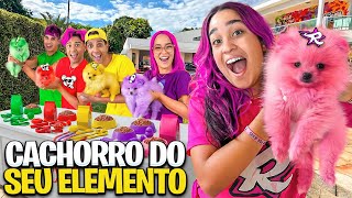 QUEM FIZER O MELHOR PET DOS ELEMENTOS, VENCE ! *Pintamos elas ?