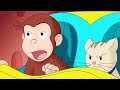 Jorge el Curioso en Español 🐵Adiós, Germen Toots 🐵Caricaturas para Niños