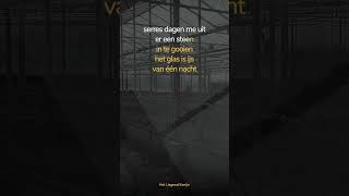 Het Liegend Konijn - 'Steen' - Philip Hoorne #shorts #hlk #gedicht #poëzie #tijdschrift