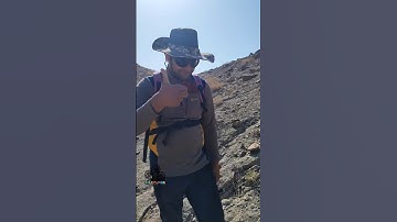 We are a searcher couple 👫⛏️ / Bivalve fossil hunting 🤠 / #fossilhunting #fossilhunter #fossil