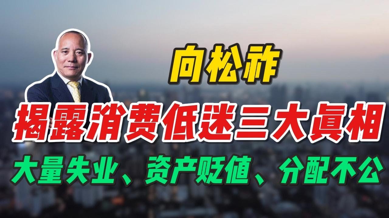 向松祚揭露消费低迷的三大真相,大量失业、资产贬值、分配不公。 - YouTube