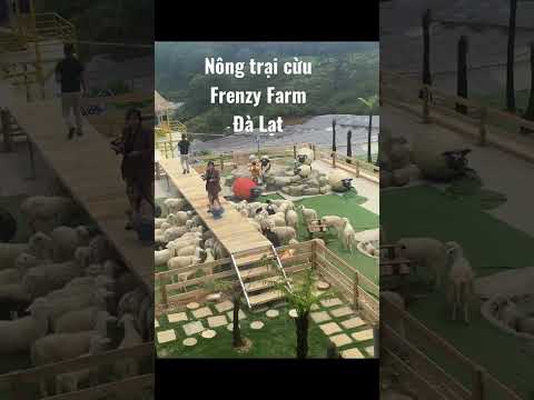 Video Nông trại cừu Đà Lạt - điểm tham quan coffee mới toanh - youtube