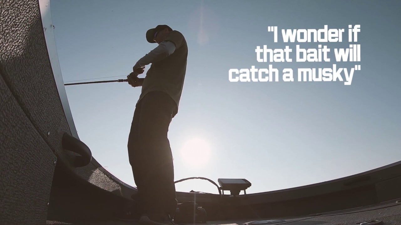 Giant 56" musky on the Division Rebel Tackles Klash 9 US Perch