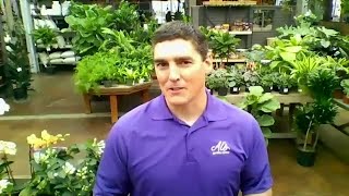 Local Business Spotlight: Al's Garden Center Local Business Spotlight: Al's Garden Center
