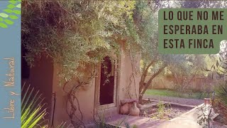 Intercambiando trabajo en marruecos. viajar simple.