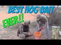 Easy DIY Hog Bait | GUARANTEED to bring in wild hogs!!!