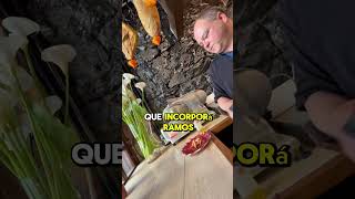 Txofre Taberna - Cecina De León Leongo Zezina