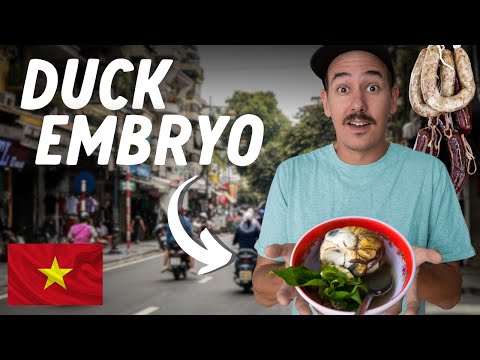 EATING LIKE A LOCAL (Hanoi Street Food Tour ) 🇻🇳 Vietnam Vlog