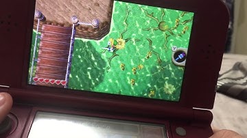 Desert Palace Skip(ALBW)