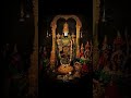 om namo venkatesa #bhakti #bhaktivibes #devotional #spiritualvibes #devotionalsongs #peace#tirumala