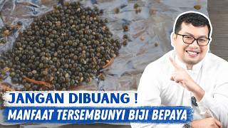 Biji Pepaya Jangan Dibuang Punya Segudang Manfaat Rahasia - DOKTER SADDAM ISMAIL