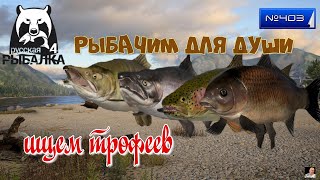 #🐠Стрим🐠#🐠Russian Fishing 4🐠порыбачим🐠№ 403 (рыбачим для души)🐠 ищем трофеев🐠