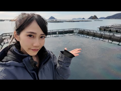 絶対領域虫ガールぴょんちゃんねる - YouTube