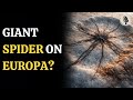 Giant ‘Spider’ Found On Europa: Proof Of Hidden Water? | WION Podcast
