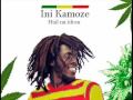  Ini Kamoze - Hail Mi Idren with Lyrics  1984