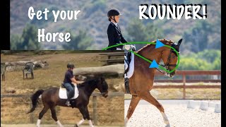 How to get your horse ROUNDER!