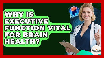 Why Is Executive Function Vital For Brain Health? - Brain Health Support Network