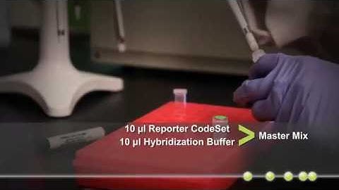 nCounter miRNA Assay Protocol