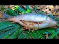 Wow! Gold Necklace In Biggest Fish (20Kg) Stomach and then Cooking Big Fish In Forest