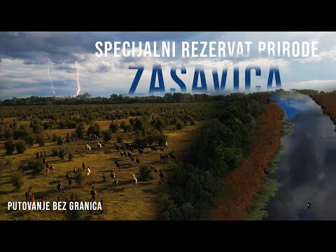Putovanje bez Granica 29 -  Specijalni rezervat prirode Zasavica