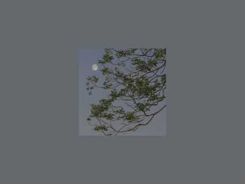 Liana Flores Rises The Moon Speed Up 