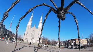 OTTAWA ART SEEN. The Spider, by Louise Bourgeois.