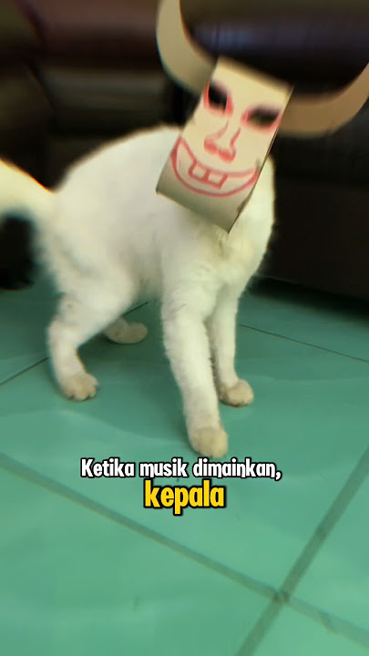 Kucing Kesurupan Banteng❓Bikin Merinding🥶 #jaranan #bantengan