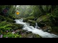 Relaxing music | Spa music | Calm music | Drop water sound | Relaxing piano | Water sounds | Relax