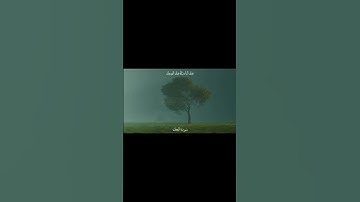 سورة النحل 127 |عبد الباسط عبد الصمد #المصحف #quran #اكسبلور #القرآن