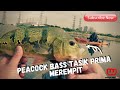 PEACOCK BASS REMPIT TASIK PRIMA TAPI ADA KEMUNCULAN TOMAN TAK DISANGKA ... #14 WAHOOVLOG