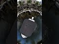 DOCK a BOAT in 13 seconds