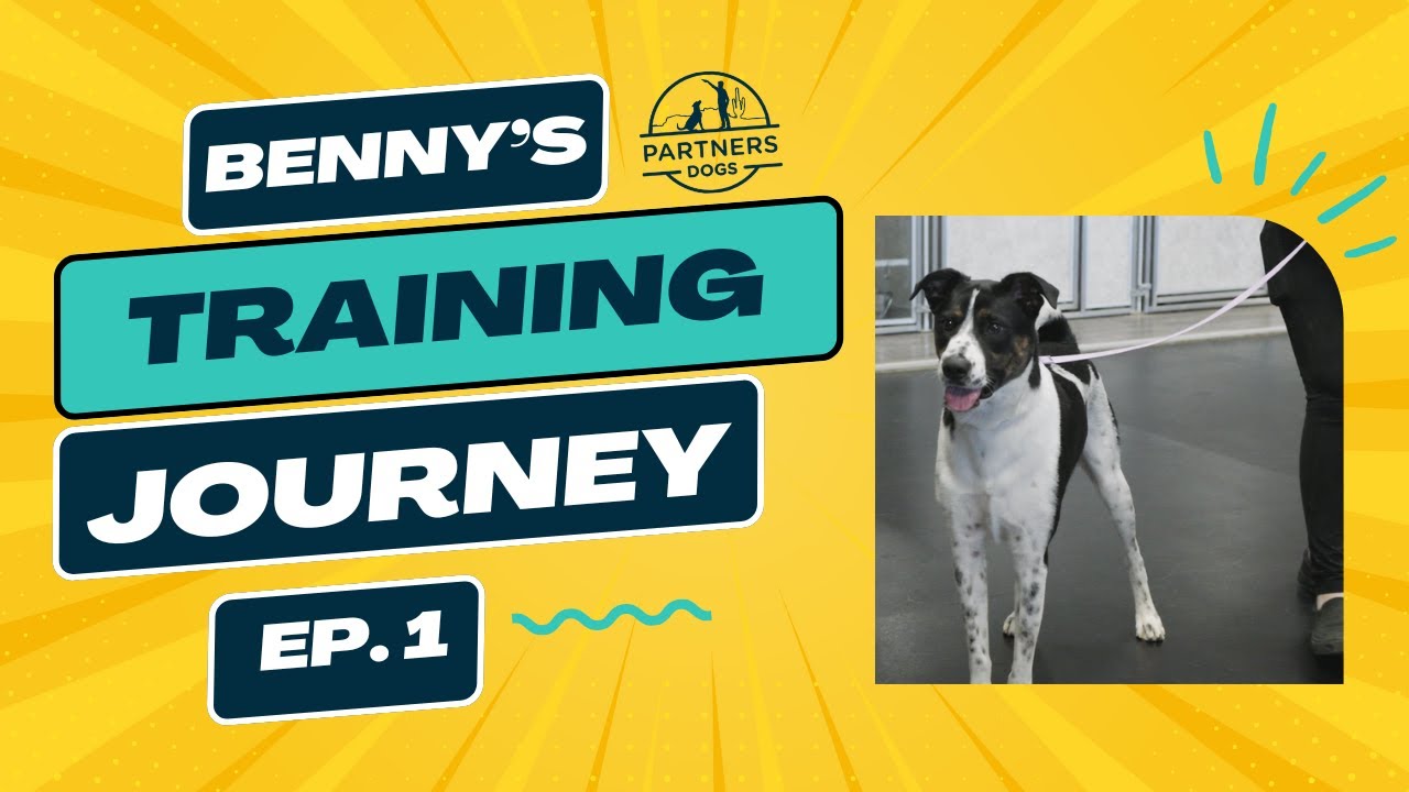 Benny: Episode 1